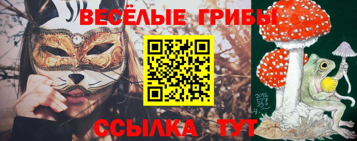 Псилоцибиновые грибы ЛСД Бор