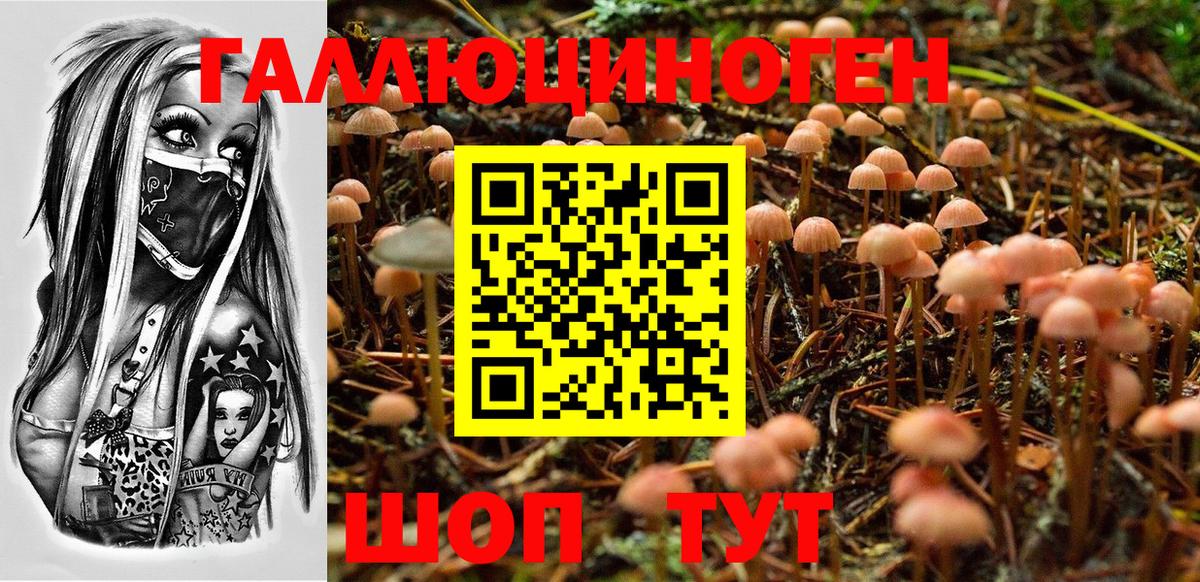 наркошоп  Вход с VPN  Бор  Псилоцибиновые грибы MAGIC MUSHROOMS 