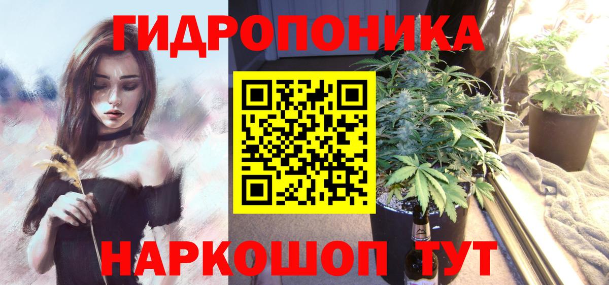 МАРИХУАНА конопля Бор